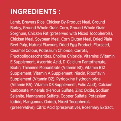 Product Iams Proactive Health Minichunks Adult Dry Dog Food with Real Lamb & Ricece