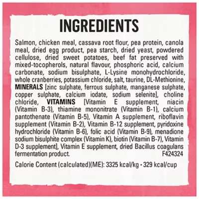 Product Beyond Grain Free Indoor Cat Food - Wild-Caught Salmon & Egg, 2.26 kg