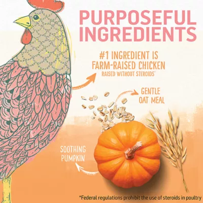 Product Beyond Dry Kitten Food Chicken & Oat Meal Recipe, 1.36 kg