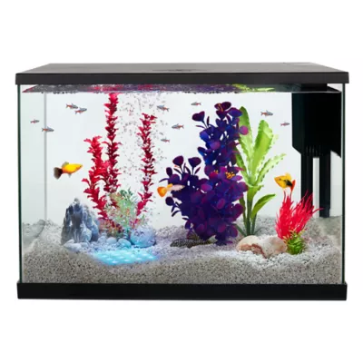 Product Top Fin® Colorflow™ Aeration Décor
