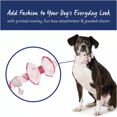 Product Top Paw® Prince or Princess Dog Collar