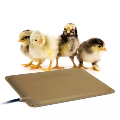Product K&H Pet Products Thermo-Peep Heated Pad