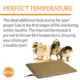 Product K&H Pet Products Thermo-Peep Heated Pad