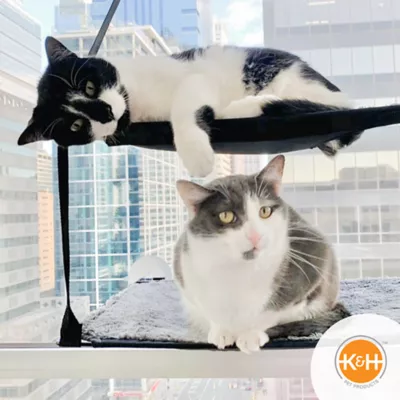 Product K&H Pet Products EZ Mount Window Sill Double Level Cat Bed
