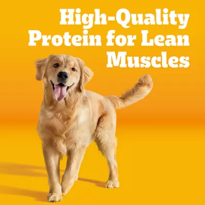 Product Pedigree® Complete Nutrition Adult Dry Dog Food - Steak & Vegetables