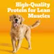 Product Pedigree® Complete Nutrition Adult Dry Dog Food - Steak & Vegetables