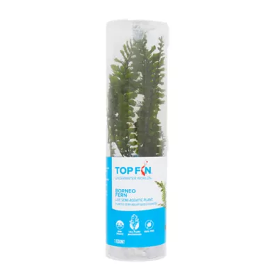Product Top Fin® Borneo Fern Live Aquatic Plant