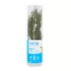 Product Top Fin® Borneo Fern Live Aquatic Plant