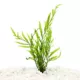 Product Top Fin® African Water Fern Live Plant