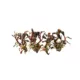 Product Top Fin® Tissue Culture Bucephalandra Brownie Live Aquatic Plant