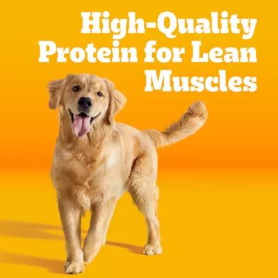 Product Pedigree® High Protein Adult Dry Dog Food - Lamb & Beef