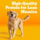 Product Pedigree® High Protein Adult Dry Dog Food - Lamb & Beef