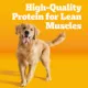 Product Pedigree® Complete Nutrition Adult Dry Dog Food - Chicken, Rice & Vegetables
