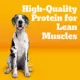 Product Pedigree® Complete Nutrition Large Breed Adult Dry Dog Food - Chicken, Rice & Vegetables