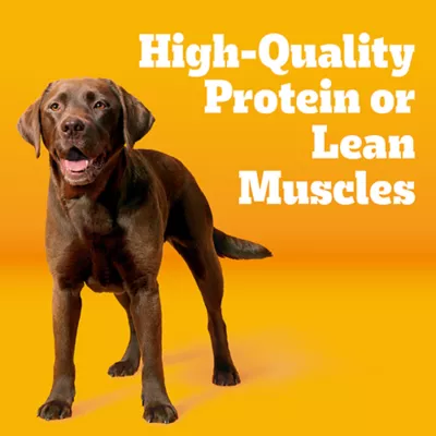 Product Pedigree® Tender Bites Adult Dry Dog Food - Chicken & Steak
