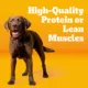 Product Pedigree® Tender Bites Adult Dry Dog Food - Chicken & Steak