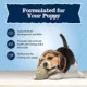 Product Blue Buffalo® Baby BLUE™ Puppy Training Treats - Natural, Chicken