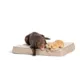 Product Top Paw® Orthopedic Mattress Dog Bed