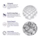 Product Top Paw® Dotted Orthopedic Mattress Dog Bed