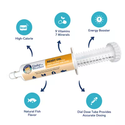 Product Under the Weather Ready Cal High Calorie Food Nutritional Gel Cat Supplement, 80-cc syringe
