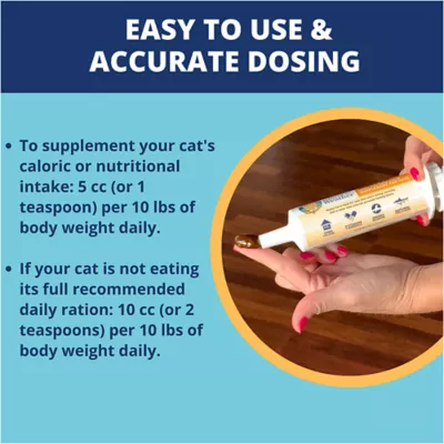 Product Under the Weather Ready Cal High Calorie Food Nutritional Gel Cat Supplement, 80-cc syringe