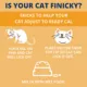 Product Under the Weather Ready Cal High Calorie Food Nutritional Gel Cat Supplement, 80-cc syringe
