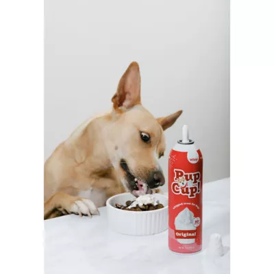 Product Pup Cup Frozen All Life Stage Dog Treat - Original