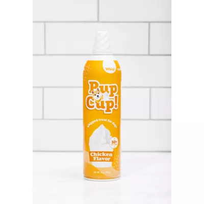 Product Pup Cup Frozen All Life Stage Dog Treat - Chicken