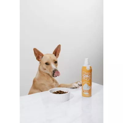Product Pup Cup Frozen All Life Stage Dog Treat - Chicken