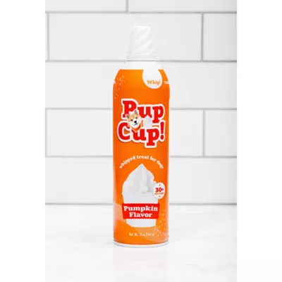 Product Pup Cup Frozen All Life Stage Dog Treat - Pumpkin