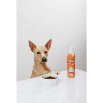 Product Pup Cup Frozen All Life Stage Dog Treat - Pumpkin