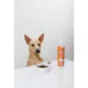 Product Pup Cup Frozen All Life Stage Dog Treat - Pumpkin