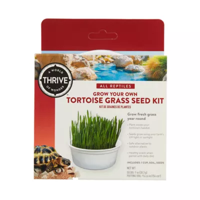 Product Thrive Grow Your Own Tortoise Grass Seed Kit
