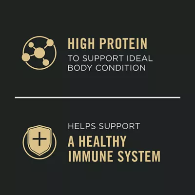 Product Purina Pro Plan Complete Essentials Wet Dog Food - Beef & Rice Entrée, 368 g