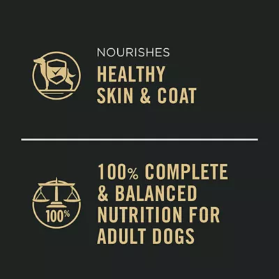 Product Purina Pro Plan Complete Essentials Wet Dog Food - Beef & Rice Entrée, 368 g