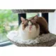 Product PetPals 50-in Tundra Cat Tree, Grey