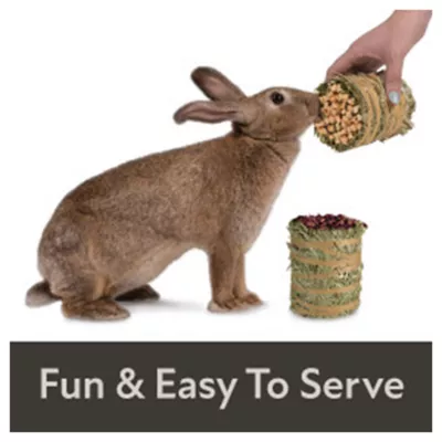 Product Field+Forest by Kaytee Mini Hay Bales - 2pk