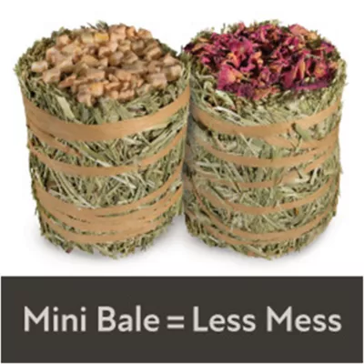 Product Field+Forest by Kaytee Mini Hay Bales - 2pk