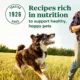 Product NUTRO MAX™ Large Breed Adult Dry Dog Food - Chicken