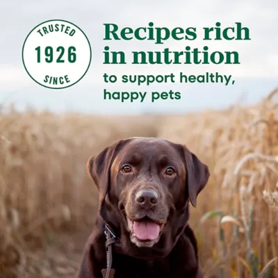 Product NUTRO MAX™ Senior Dry Dog Food - Chicken