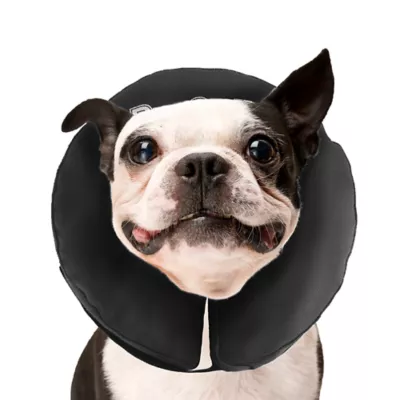 Product ZenPet ZenCollar