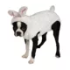 Product Rubie's Pet Shop Bunny Dog Costume