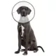 Product ZenPet E-Clear Collar