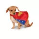 Product Rubie's Pet Shop Halloween Wonder Woman Cape Dog & Cat Costume