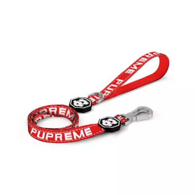 Product Fresh Pawz Pupreme Dog Leash 5-ft long