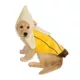 Product Rubie's Pet Shop Halloween Banana Dog & Cat Costume