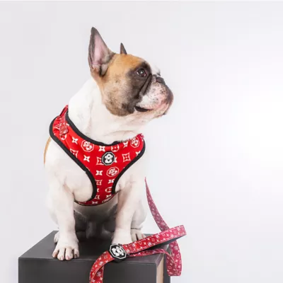 Product Fresh Pawz Monogram Hype Adjustable Mesh Dog Harness