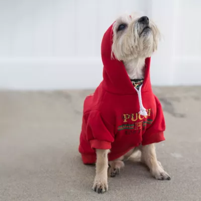 Product Fresh Pawz Pucci "I WANT TO GO BACK TO THE DOG PARK" Dog Hoodie