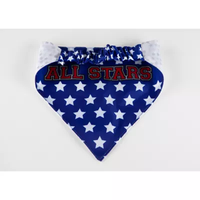 Product Hip Doggie Pack USA Reversible Pet Bandana