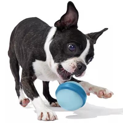 Product Bark Super Chewer Glowball Dog Toy